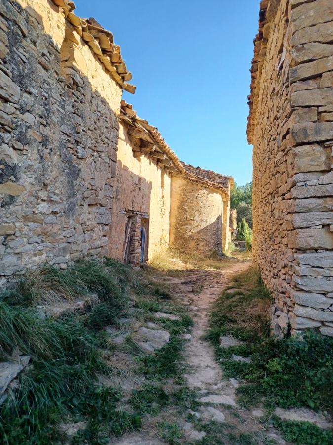 Вилла La Vieja Escuela Фуэнтес-де-Рубьелос Экстерьер фото